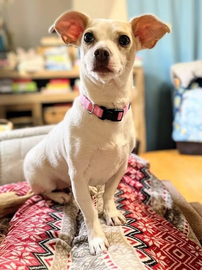 Maci Mae thumbnail 2