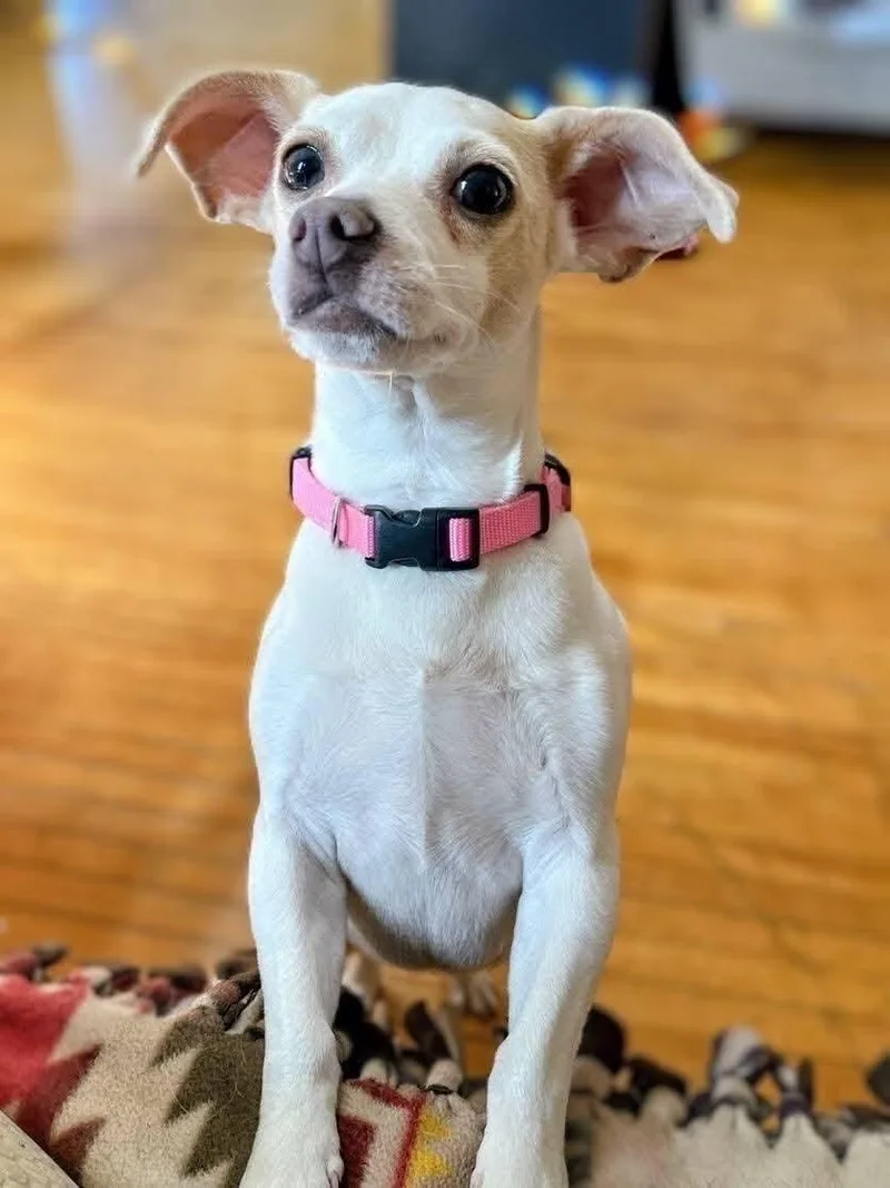 Maci Mae thumbnail 3