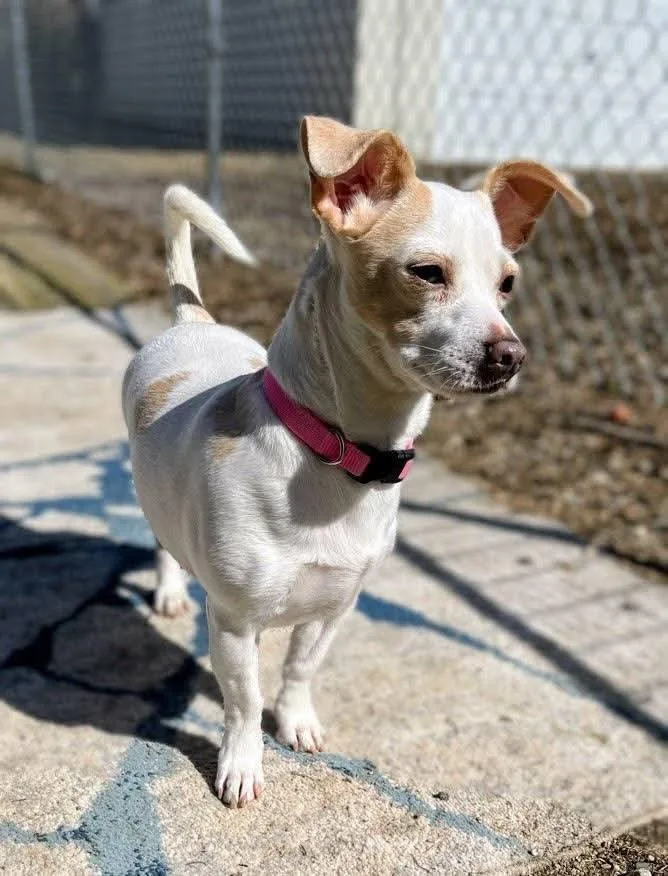 Maci Mae thumbnail 4