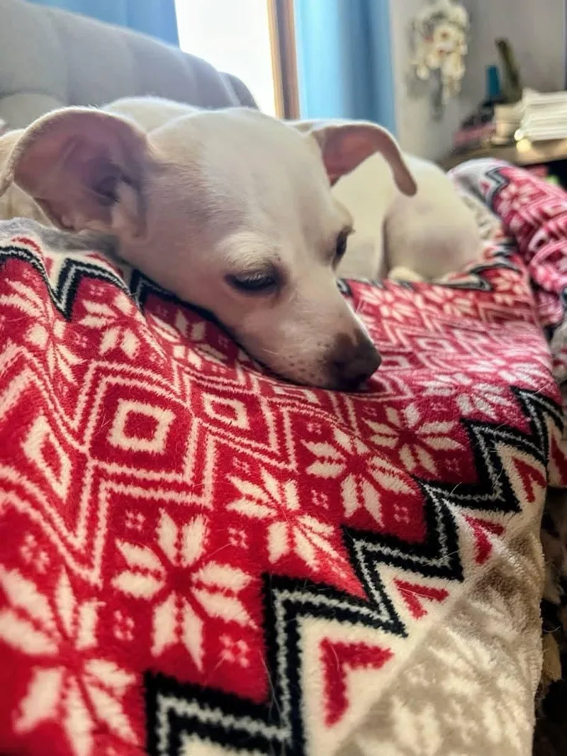 Maci Mae thumbnail 5