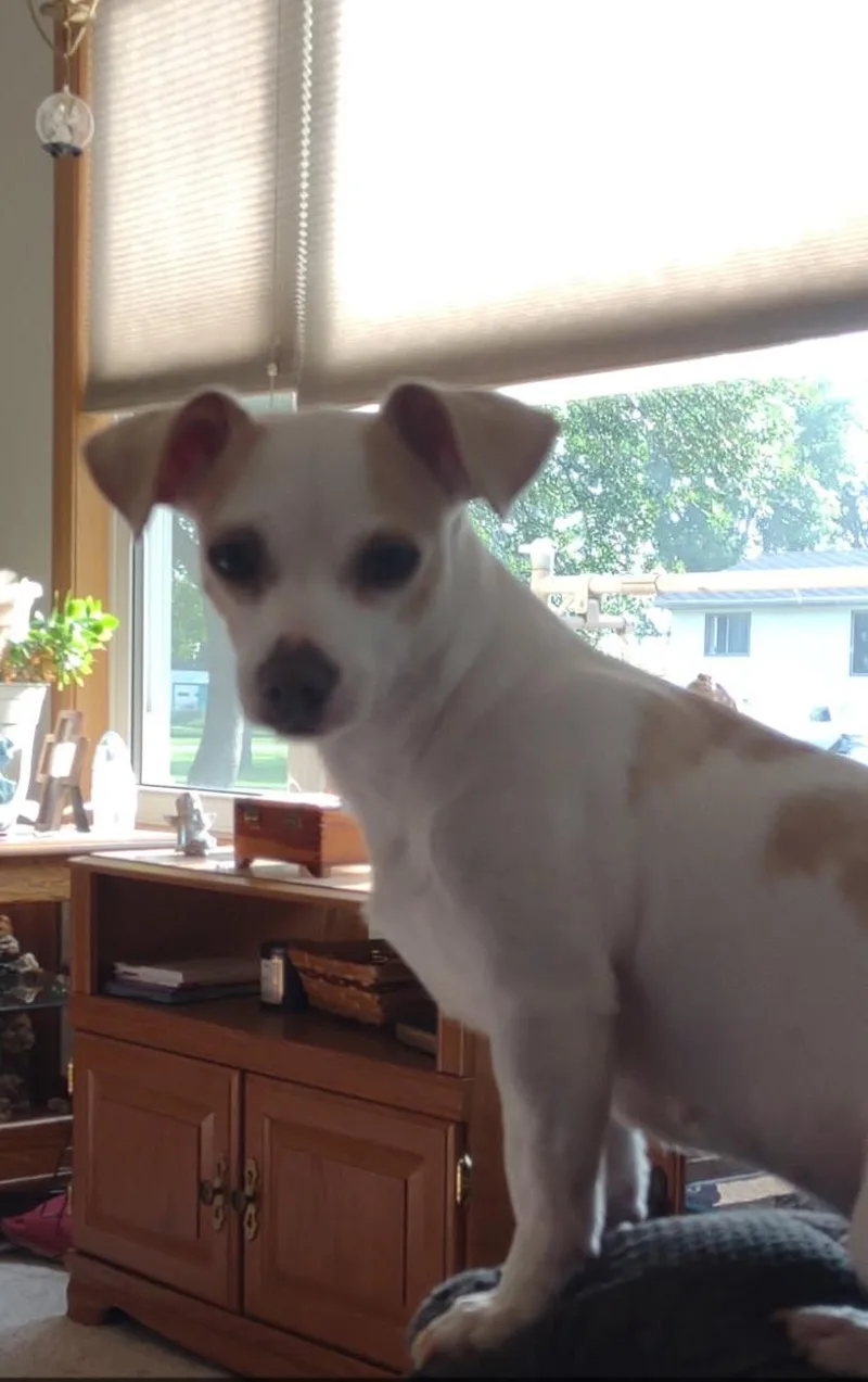 Maci Mae thumbnail 6