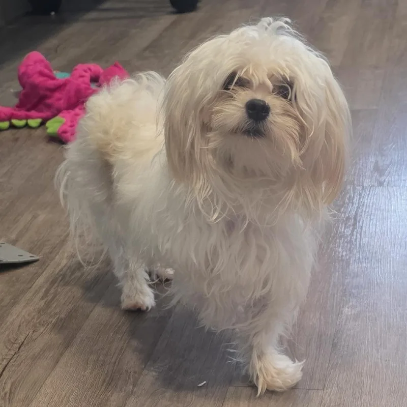 Max