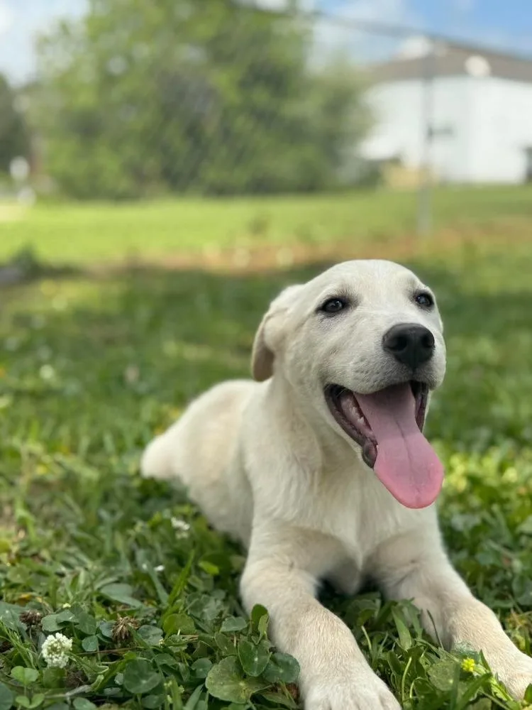 Thackery thumbnail 2