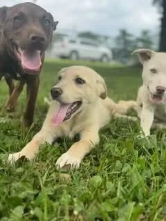 Thackery thumbnail 3