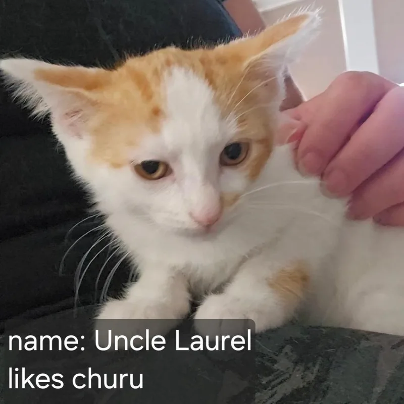 Uncle Laurel