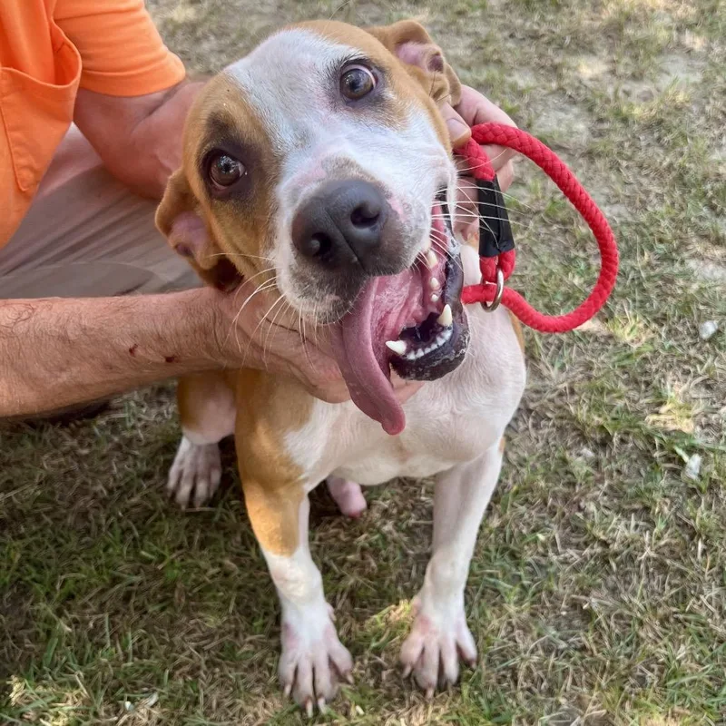 Clint Black thumbnail 2