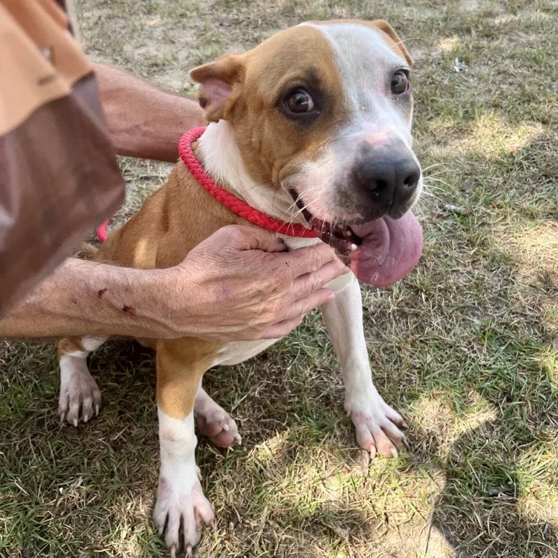 Clint Black thumbnail 3