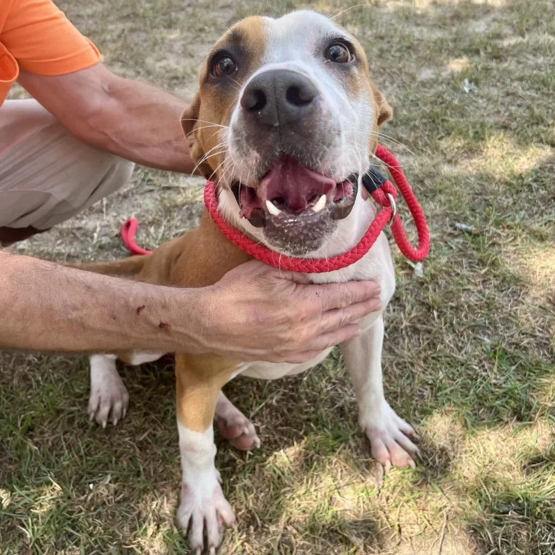 Clint Black thumbnail 4