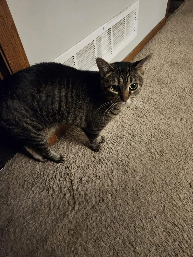 Tabitha C thumbnail 2