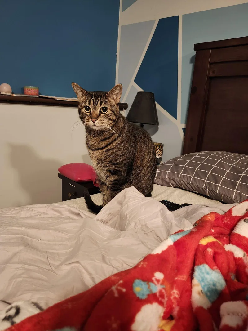 Tabitha C thumbnail 3