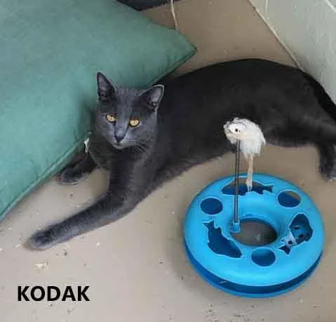 Kodak thumbnail 2