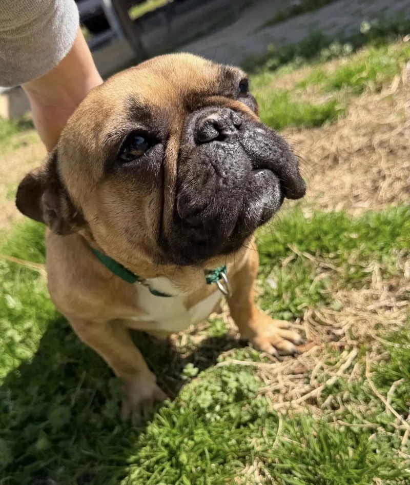 Josephine thumbnail 2