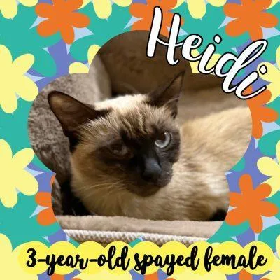 Heidi
