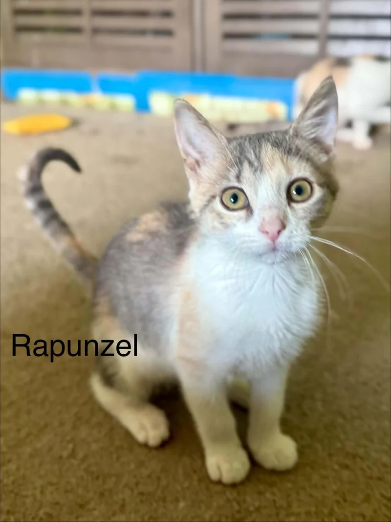 Rapunzel
