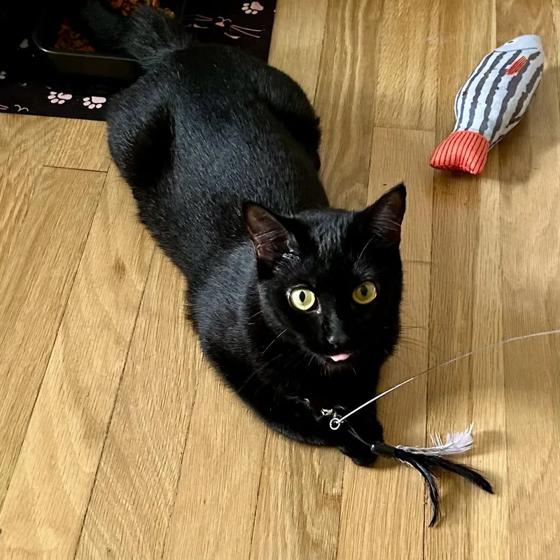 Jax