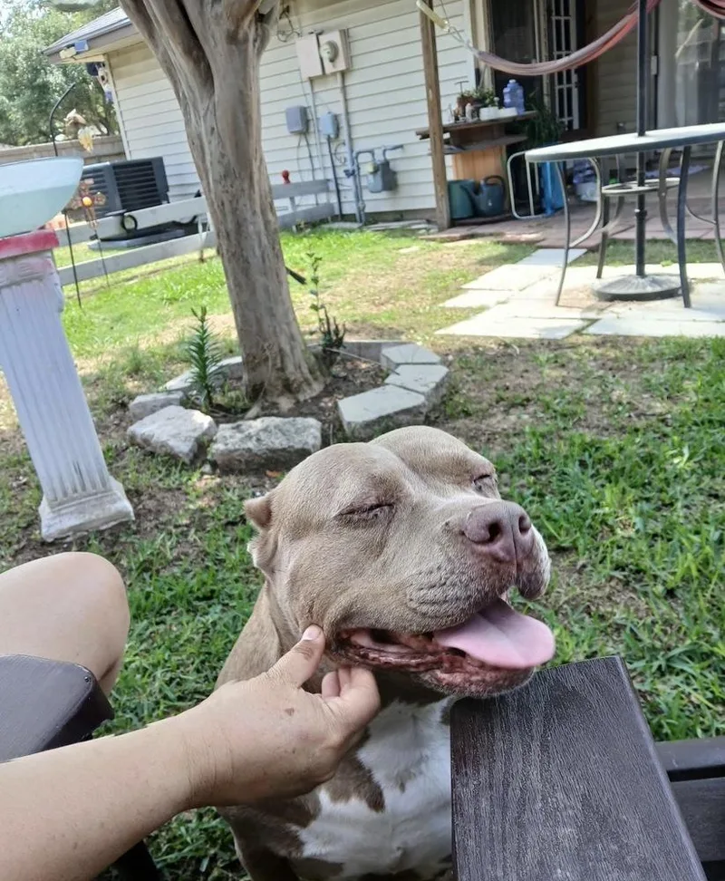 Maia Rain thumbnail 3