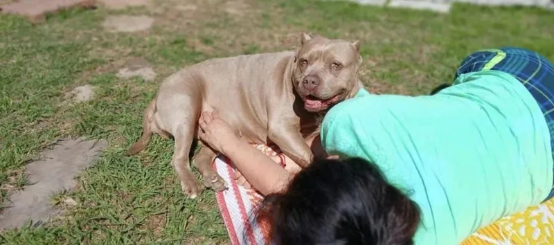 Maia Rain thumbnail 4