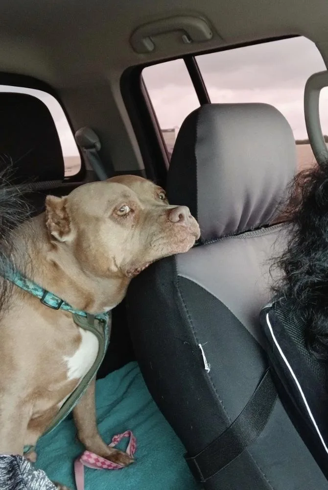 Maia Rain thumbnail 6