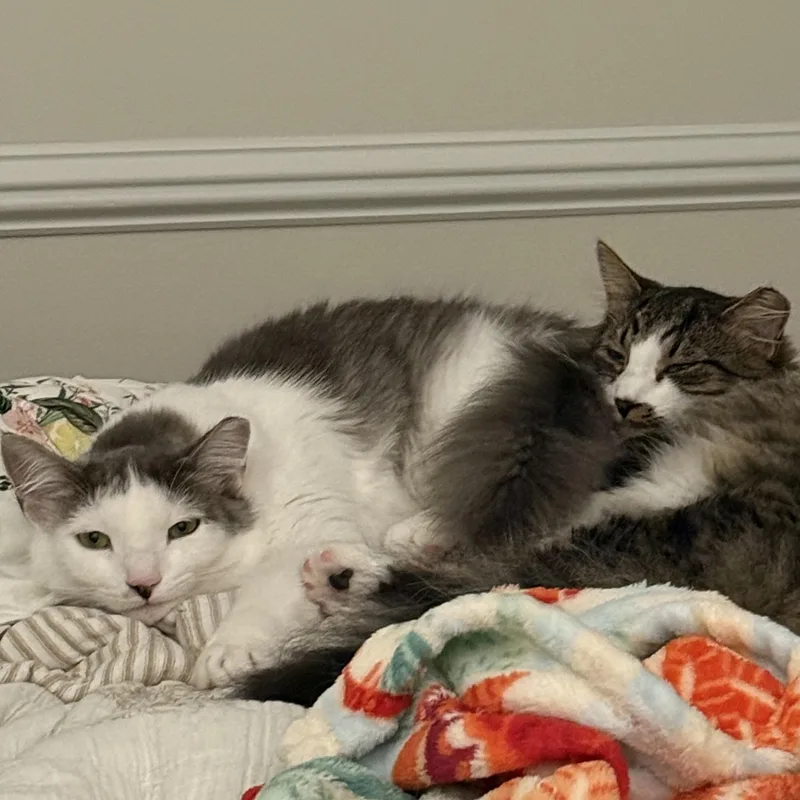 Bonnie & Benji thumbnail 5