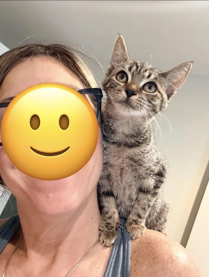 Stella thumbnail 4