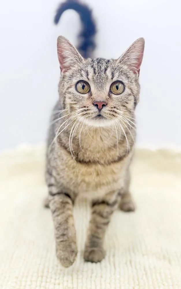 Lila Is So Darn thumbnail 2