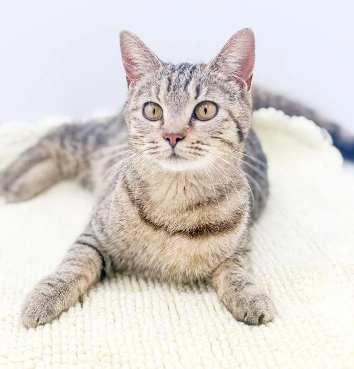 Lila Is So Darn thumbnail 3