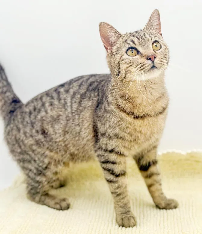 Lila Is So Darn thumbnail 4