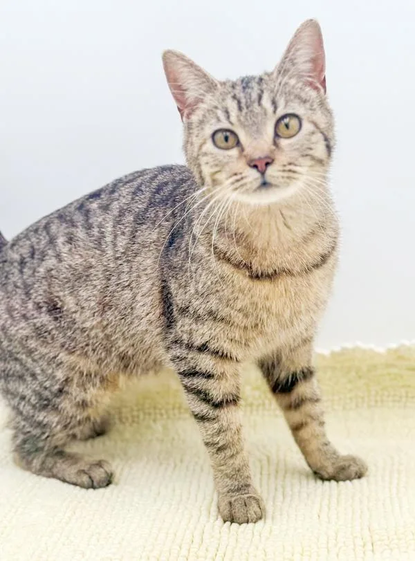 Lila Is So Darn thumbnail 5