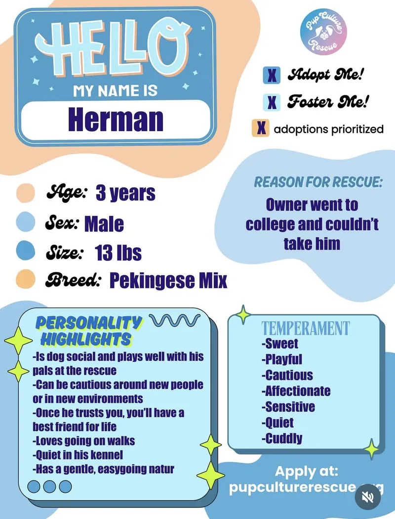 Herman thumbnail 6