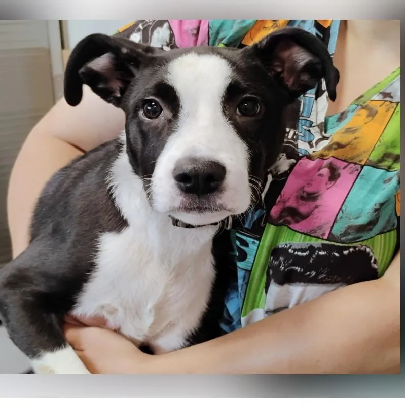 Meeka “meme” thumbnail 2