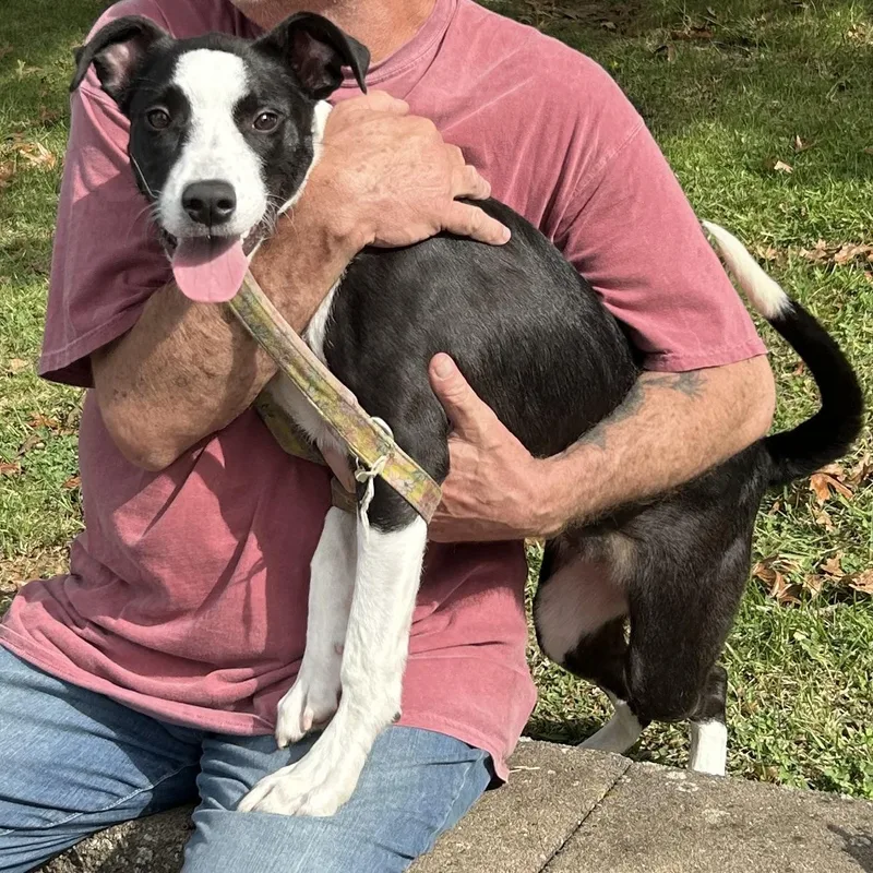 Meeka “meme” thumbnail 3