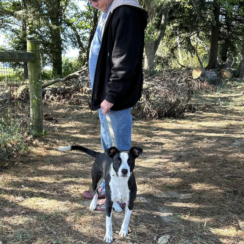 Meeka “meme” thumbnail 4