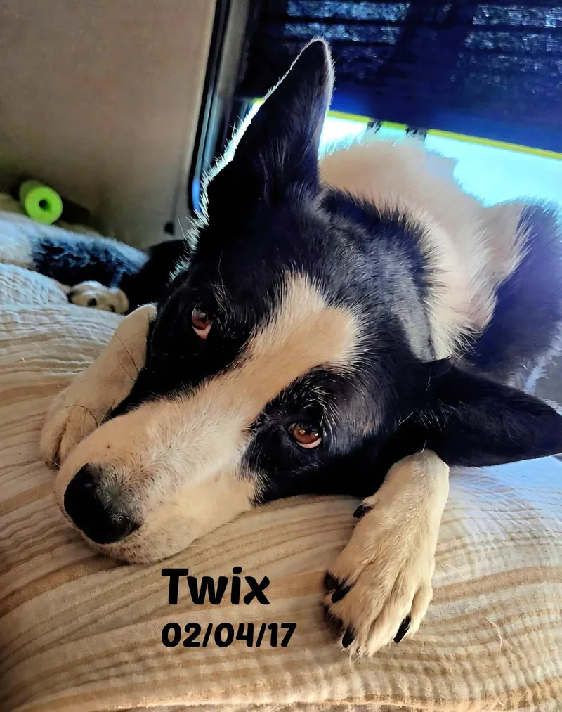 Twix thumbnail 5