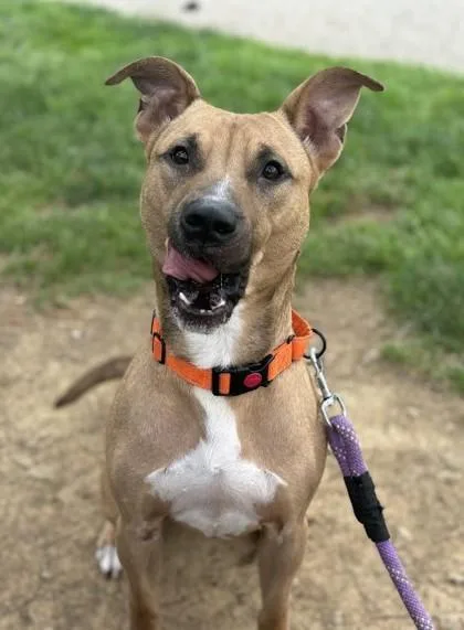 Beardsley thumbnail 3