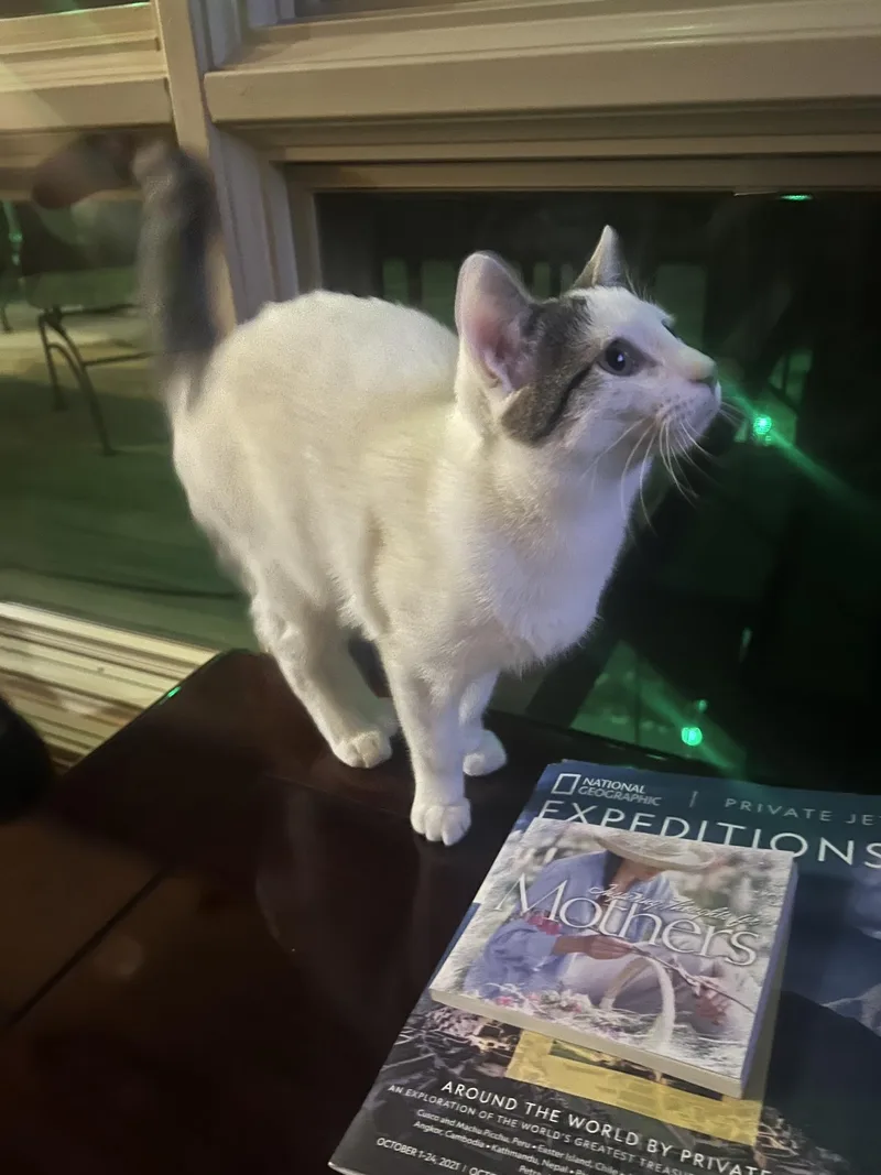 Nicholas Ffc thumbnail 2