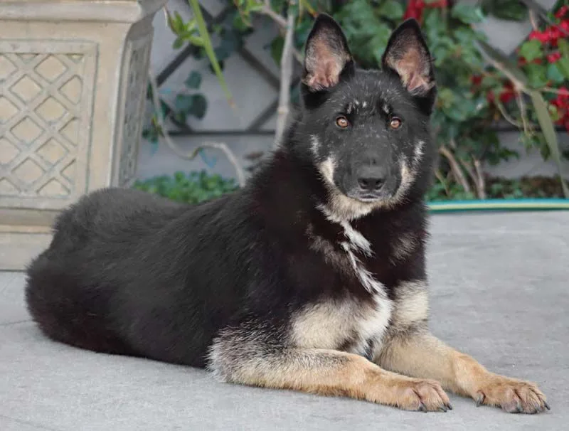 Liza Von Lenterode+ thumbnail 3