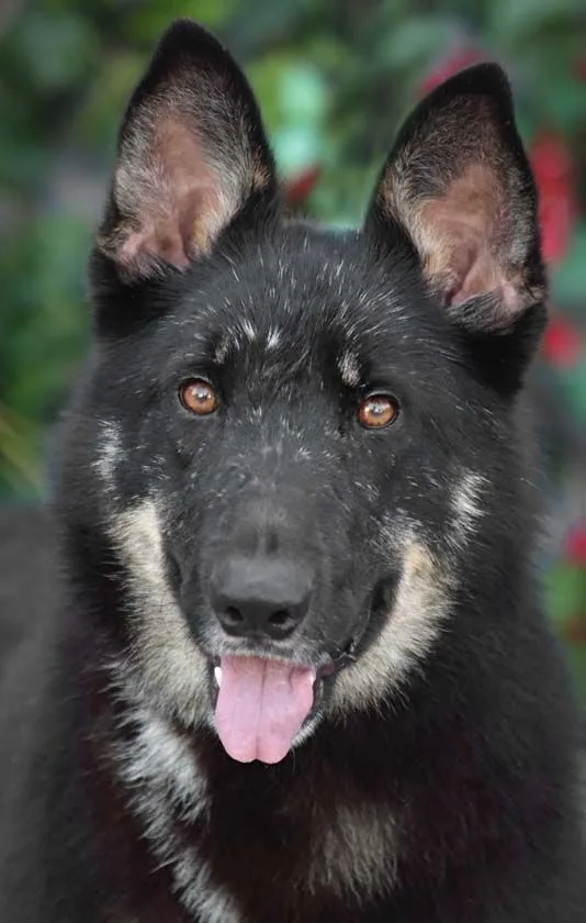 Liza Von Lenterode+ thumbnail 4