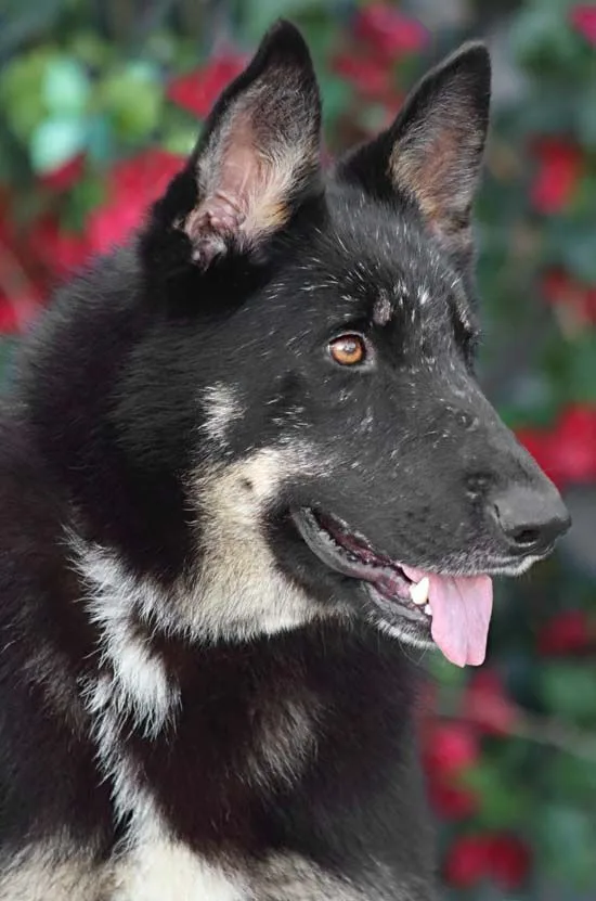 Liza Von Lenterode+ thumbnail 5