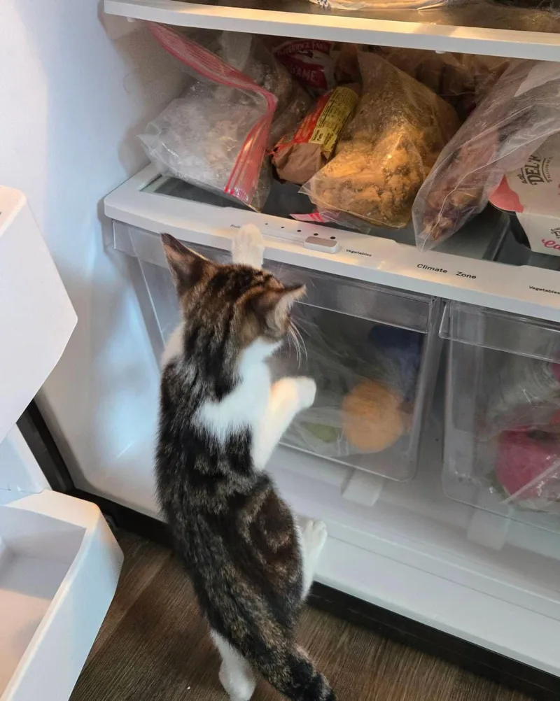 Billy Bob thumbnail 2