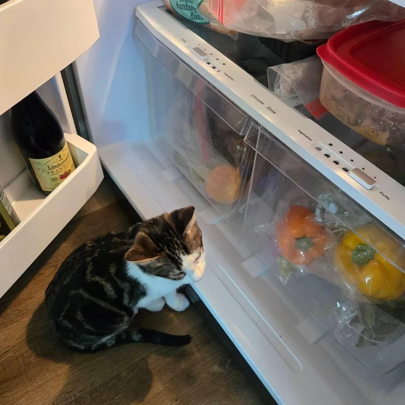 Billy Bob thumbnail 5