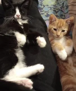 Luc and Phoenix