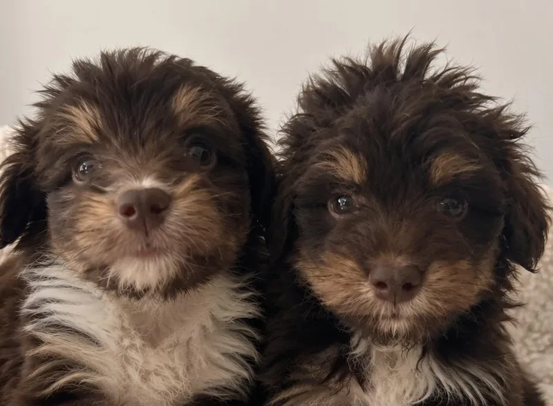 Bixby and Quincy