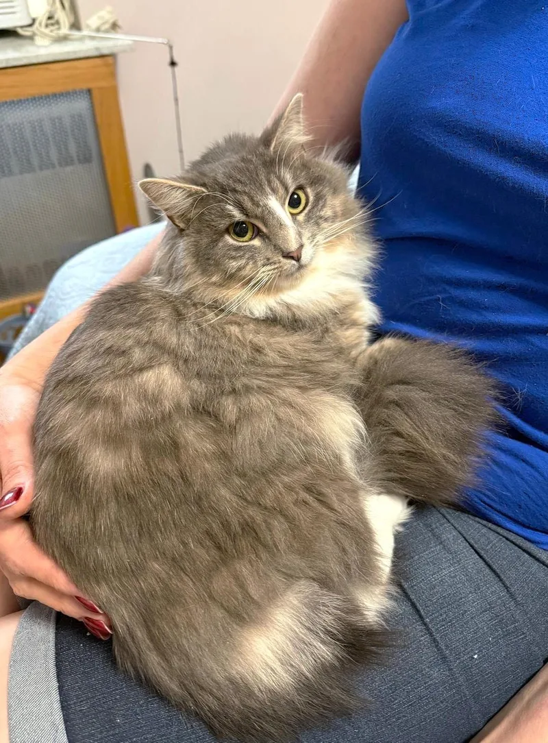 Simona And Theo thumbnail 2