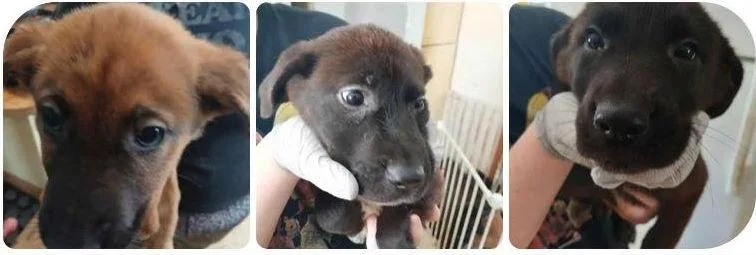 Bismarck thumbnail 2