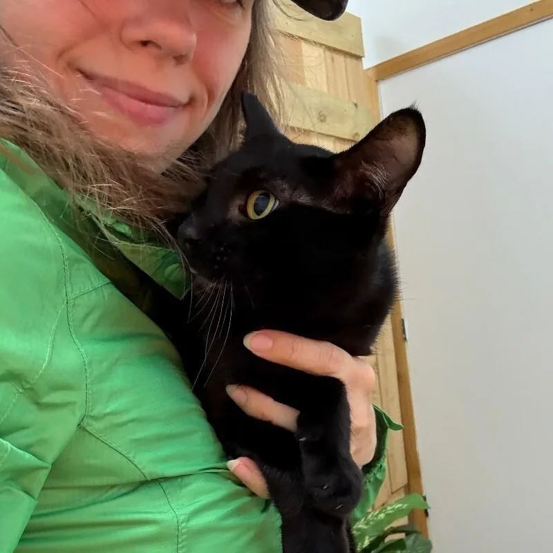 Gordo Snugglebean thumbnail 5