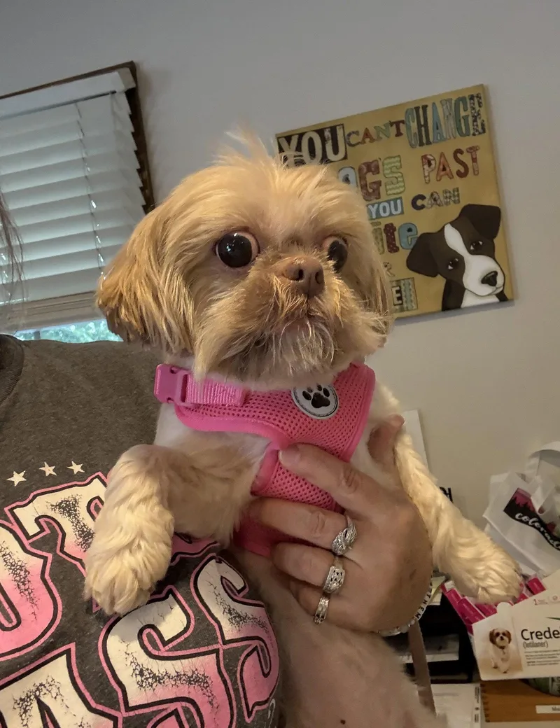 Nala thumbnail 2