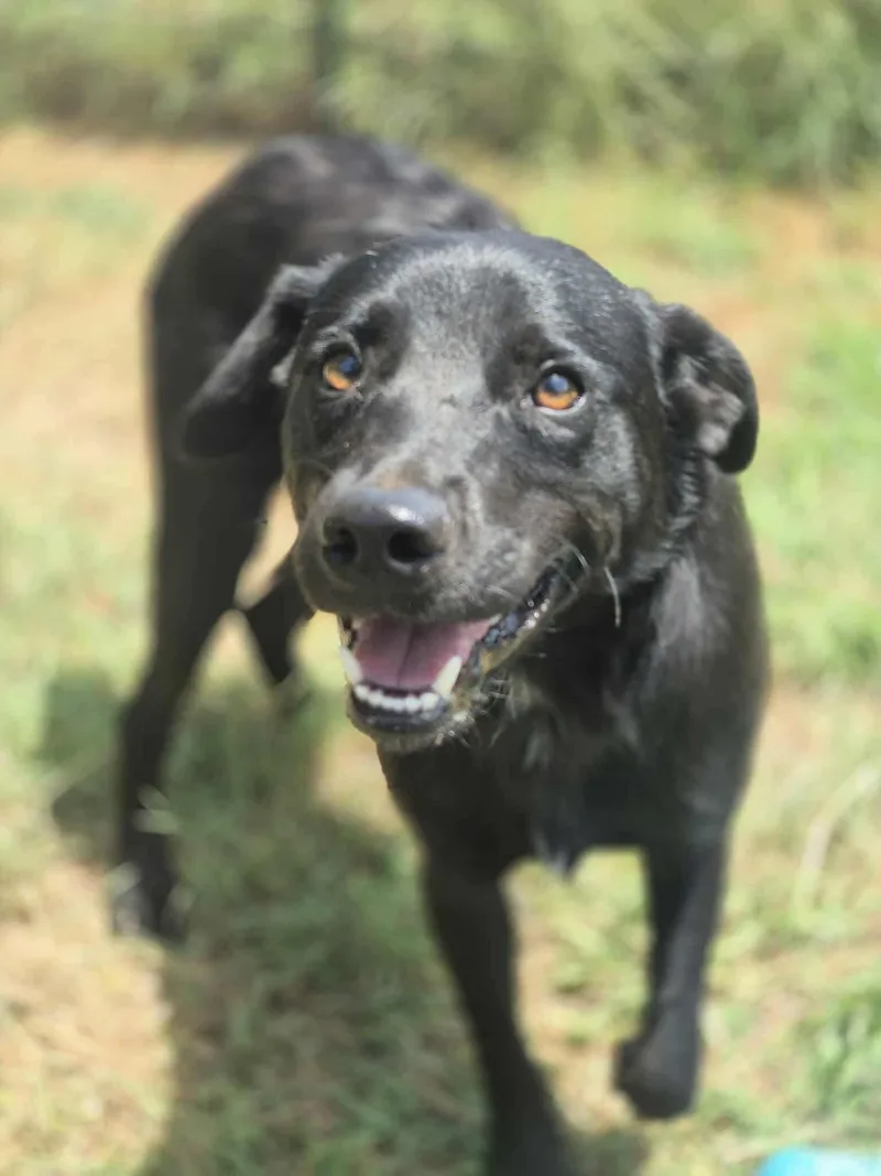 Lover Boy thumbnail 2