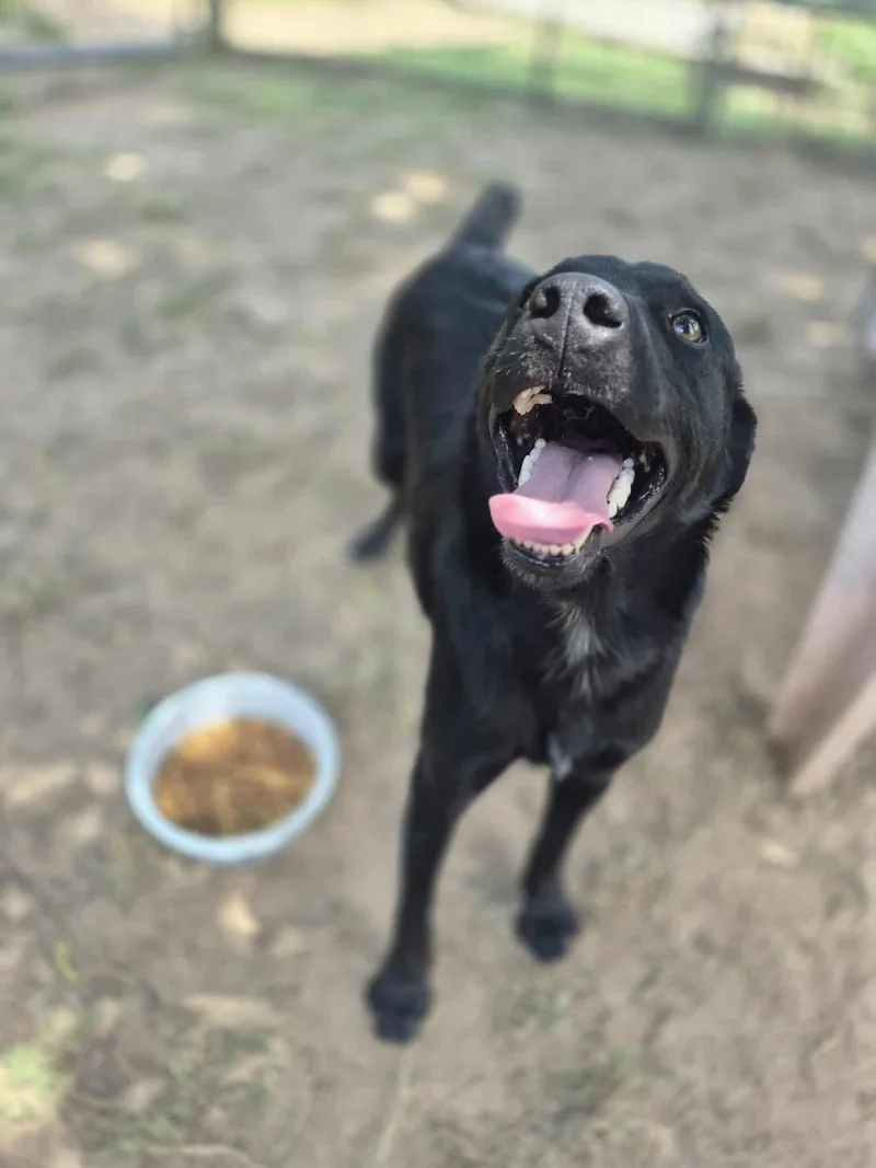 Lover Boy thumbnail 3