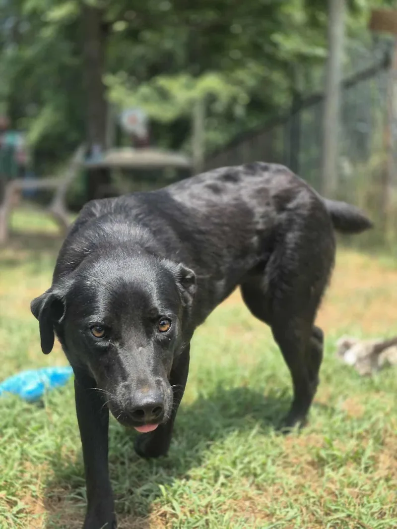 Lover Boy thumbnail 4