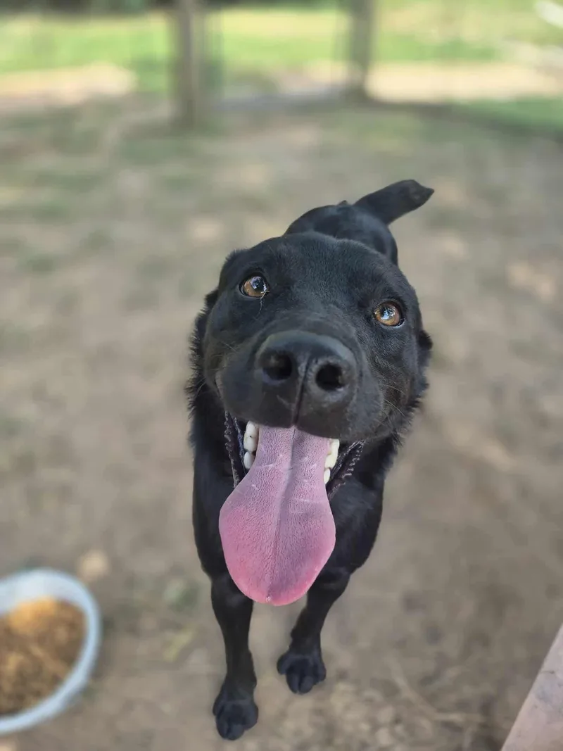 Lover Boy thumbnail 5